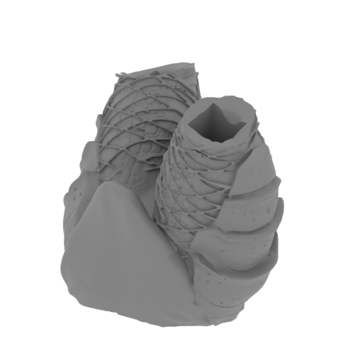 15_Pelvis_Predator_FDM (repaired).stl