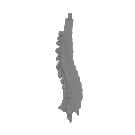 8_Vertebra_SLA (repaired).stl