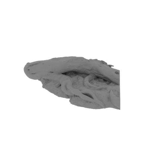 12_Platform_p2_SLA(repaired).stl