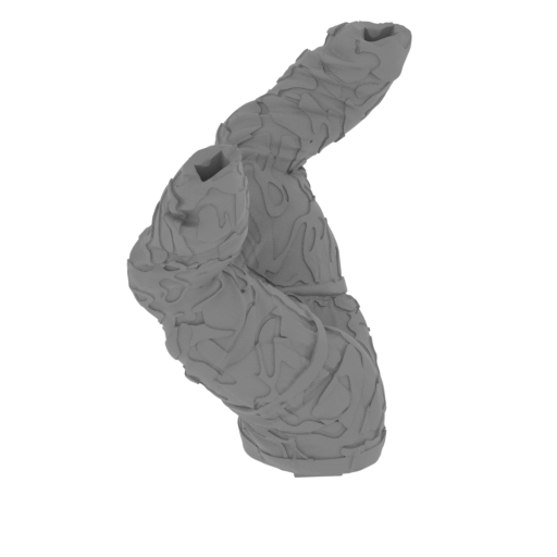 8_Pelvis_Dutch_FDM (repaired).stl