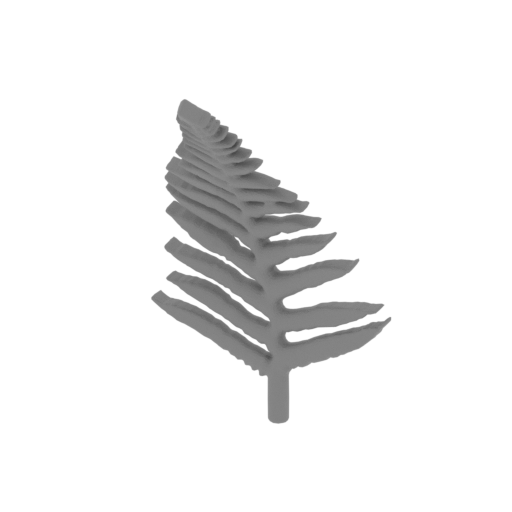 16_Fern_Dutch_1_FDM (repaired).stl