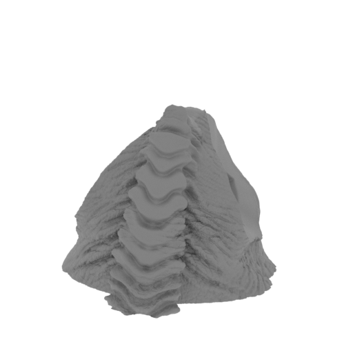 11_Pelvis_FDM (repaired).stl