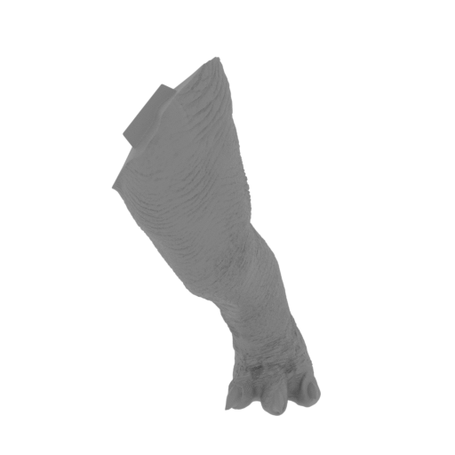 12_Leg_L_FDM (repaired).stl