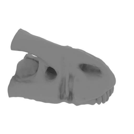 BaseSkull(Cut 1).stl