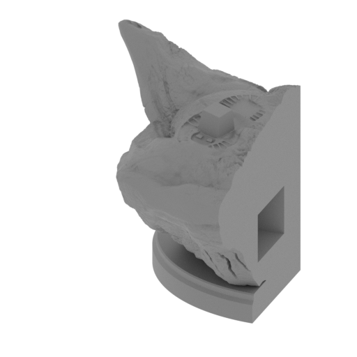 1_Platform_1_FDM (repaired).stl