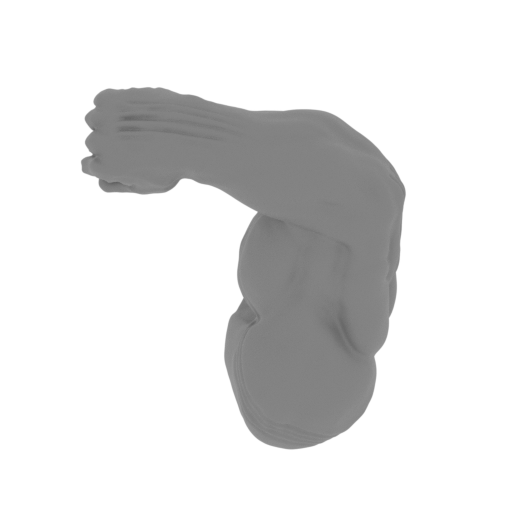 10_Arm_R_FDM (repaired).stl