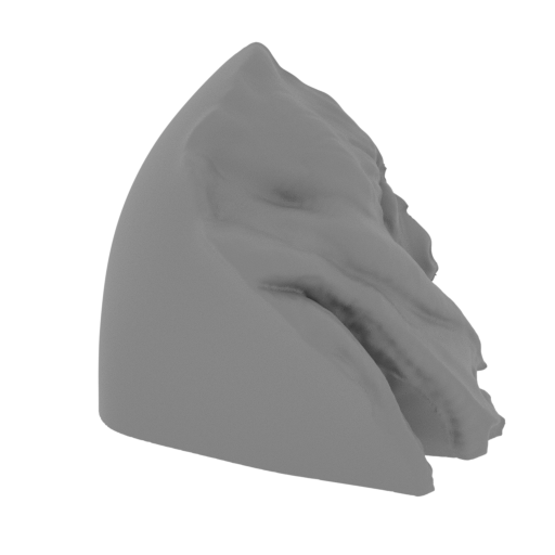 47_Half_face_2_R_FDM (repaired).stl