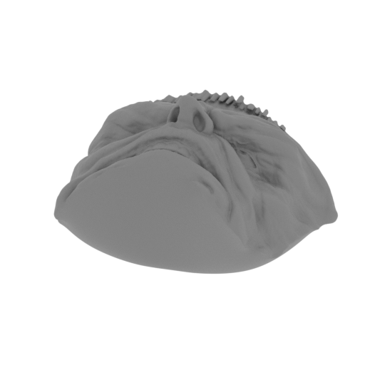 51_Full_face_FDM (repaired).stl