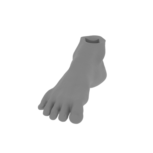 8_Foot_R_FDM (repaired).stl