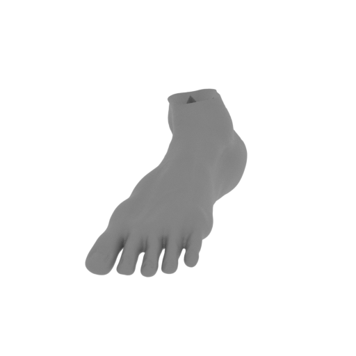 9_Foot_L_FDM (repaired).stl