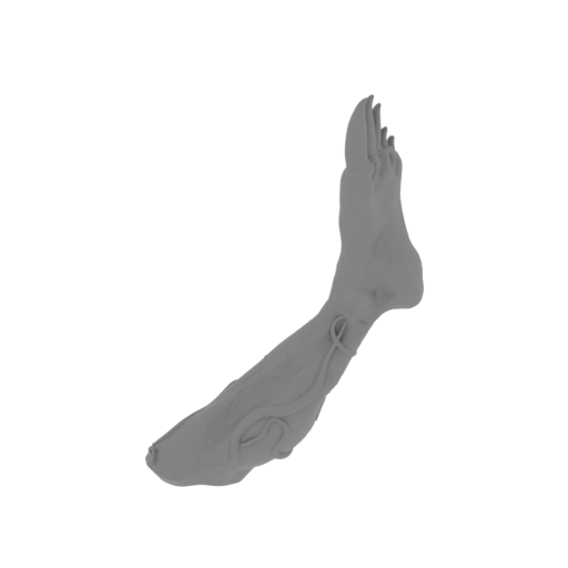 11_Venom_foot_L_FDM(repaired).stl