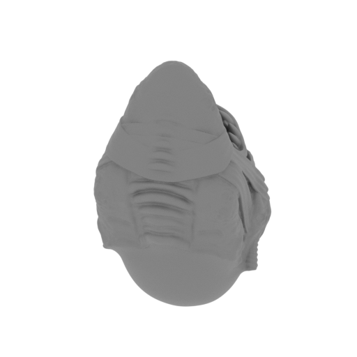 1_Jaw_FDM (repaired).stl