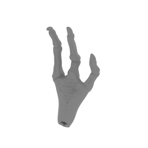 10_Hand_R_FDM (repaired).stl