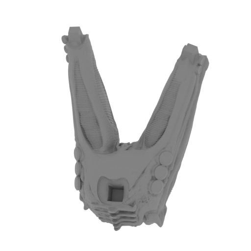 16_Pelvis_FDM (repaired).stl