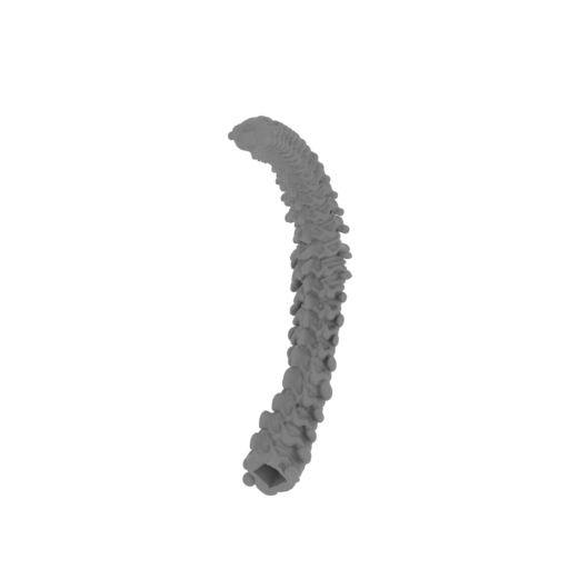 18_Tail_2_FDM (repaired).stl