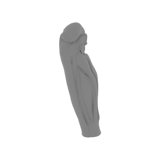 22_Shin_L_DFM (repaired).stl