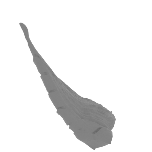 11_Wing_R_SLA (repaired).stl