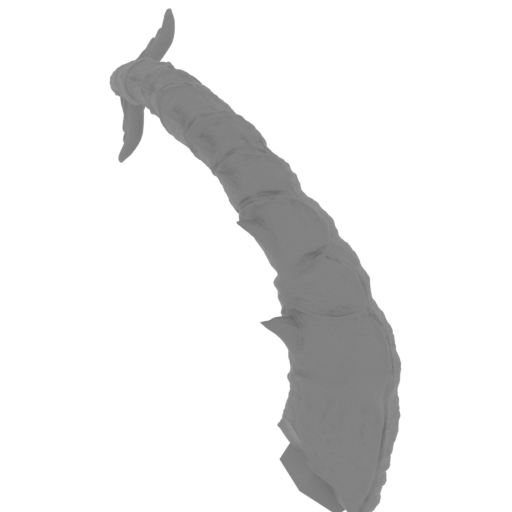 14_Tail_2_SLA (repaired).stl