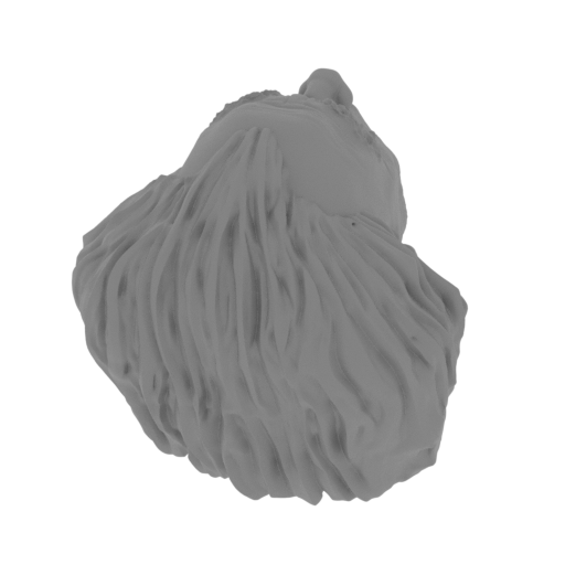 1_Head_FDM (repaired).stl