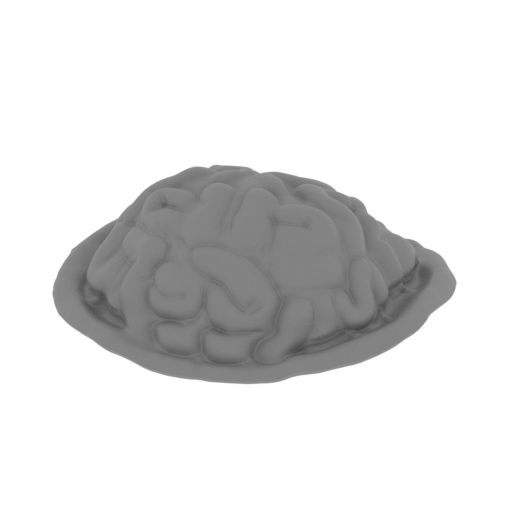 1_brain_FDM(repaired).stl