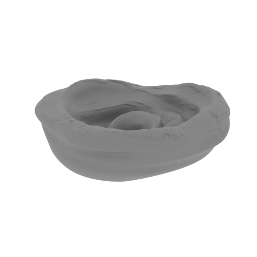 2_Bullet_1_SLS (repaired).stl