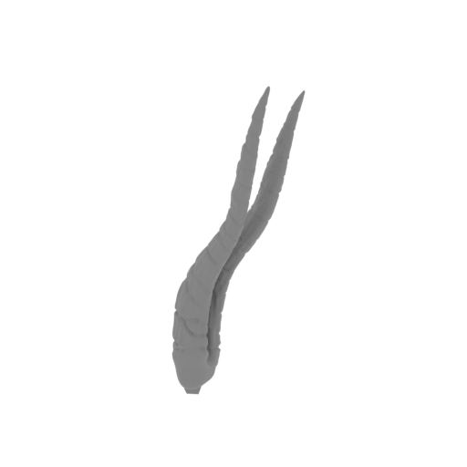 MKG_08_RH_Left mid horn_FDM (repaired).stl