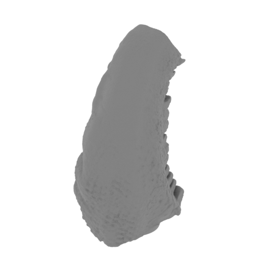 10_tail_1_FDM(repaired).stl