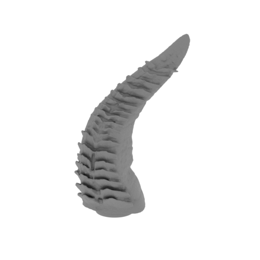 11_tail_2_FDM(repaired).stl
