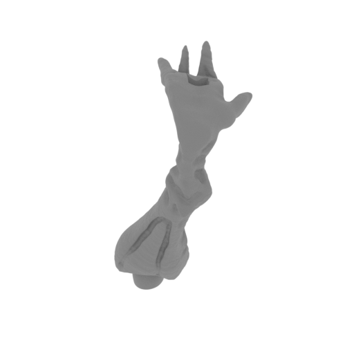 17_foot_R_FDM(repaired).stl