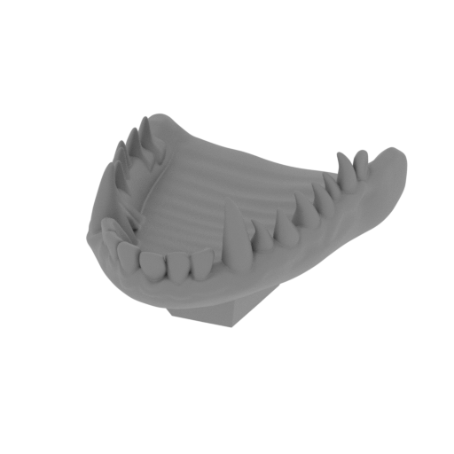 2_jaws_top_FDM(repaired).stl