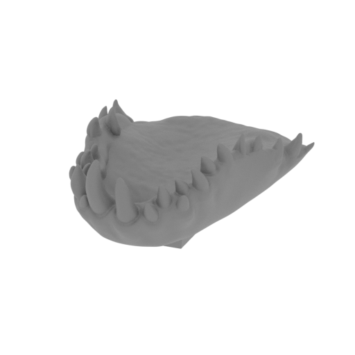 3_jaw_1_FDM(repaired).stl