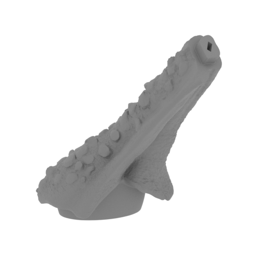 19_wing_L_1_FDM(repaired).stl