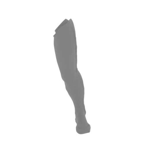 10_leg_L_FDM(repaired).stl