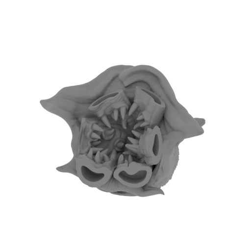 16_cat_head_2_FDM(repaired).stl