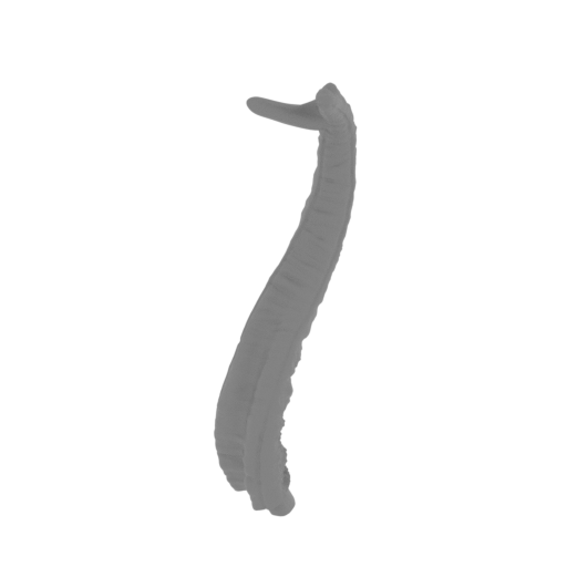 18_tentacle_2_FDM(repaired).stl