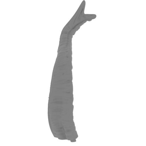 20_tentacle_4_FDM(repaired).stl