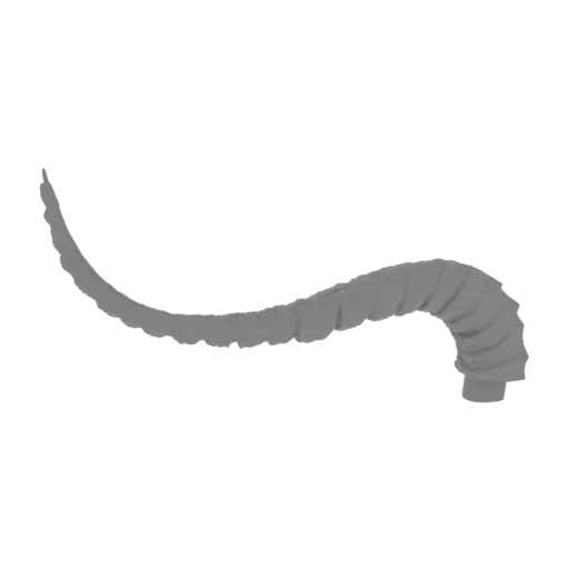 21_tentacle_5_FDM(repaired).stl