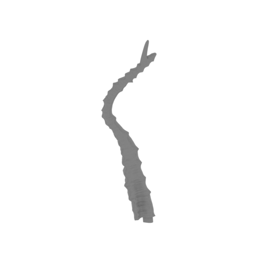 22_tentacle_6_FDM(repaired).stl