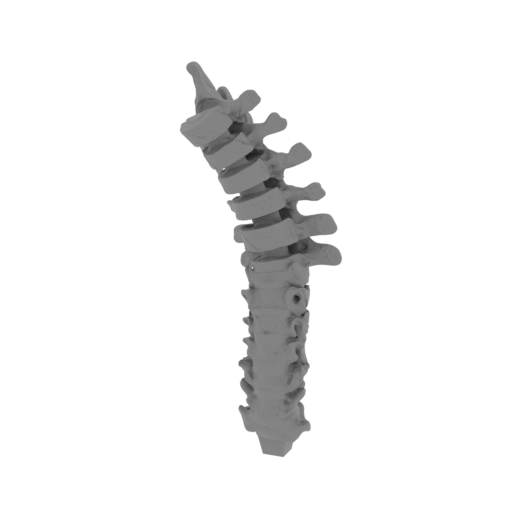 8_spine_FDM(repaired).stl