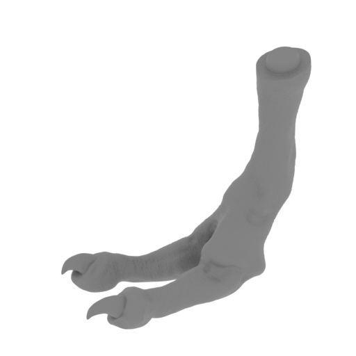 19_leg_R_3_FDM(repaired).stl