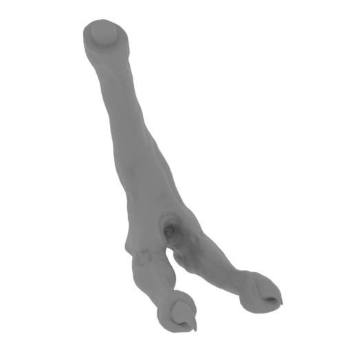 22_leg_L_3_FDM(repaired).stl