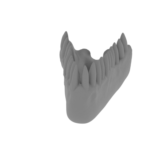 4_jaw_top_FDM(repaired).stl