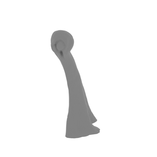 6_eye_R_FDM(repaired).stl