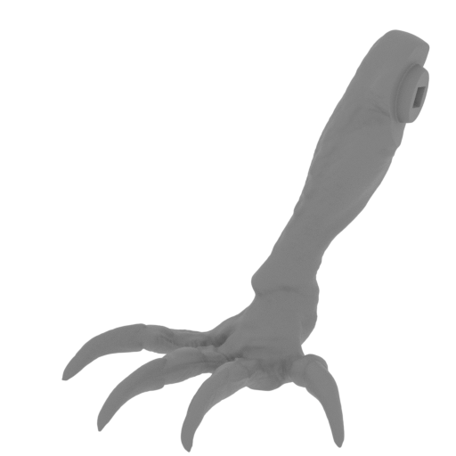 15_leg_R_2_FDM(repaired) (Cut 2).stl