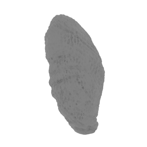 13_arm_R_2_FDM(repaired).stl