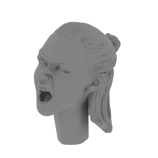 1_head_FDM(repaired).stl