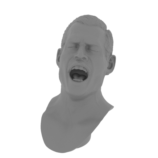 1_head_FDM(repaired).stl