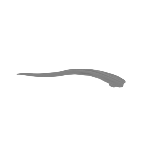 2_curl_1_FDM(repaired).stl