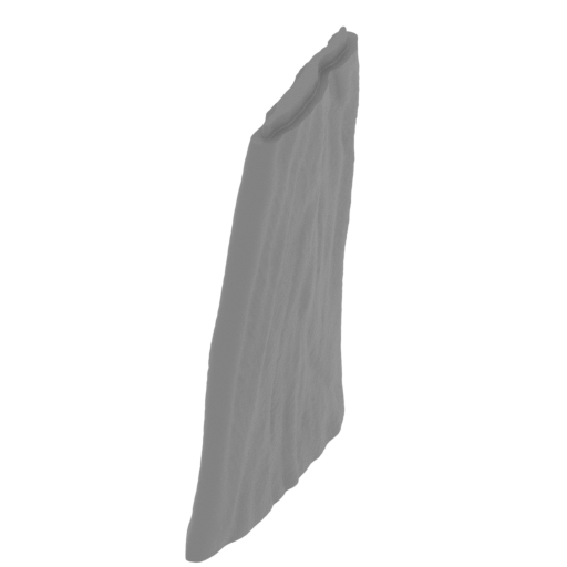 25_wing_L_2_FDM(repaired).stl