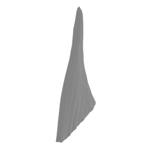 38_tail_3_FDM(repaired).stl